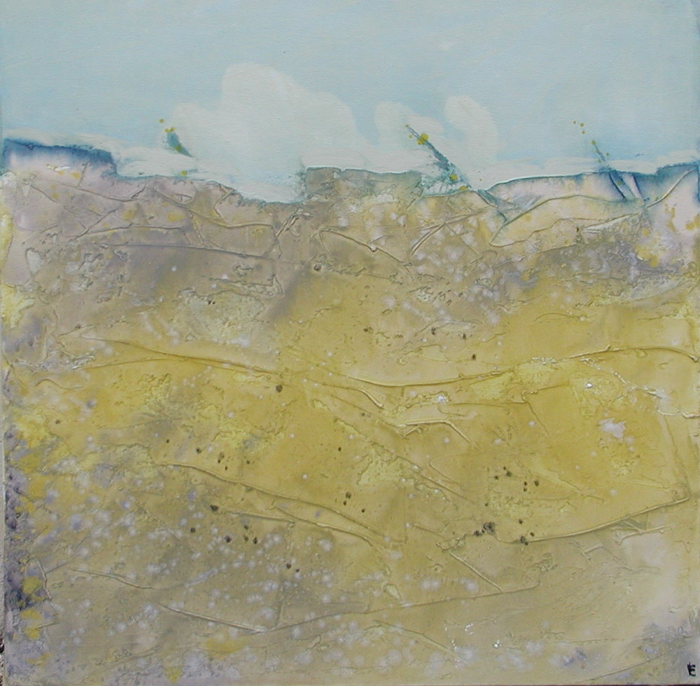 la cote sauvage huile 60x60cm